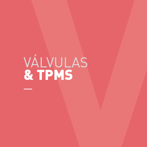 Reparación de Llantas